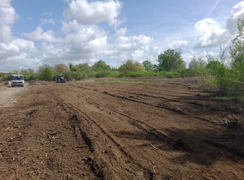 Freies, gerodetes Grundstück mit Erde und wenigen Bäumen unter bewölktem Himmel.